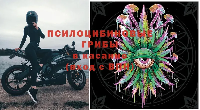 Галлюциногенные грибы MAGIC MUSHROOMS  Шадринск 